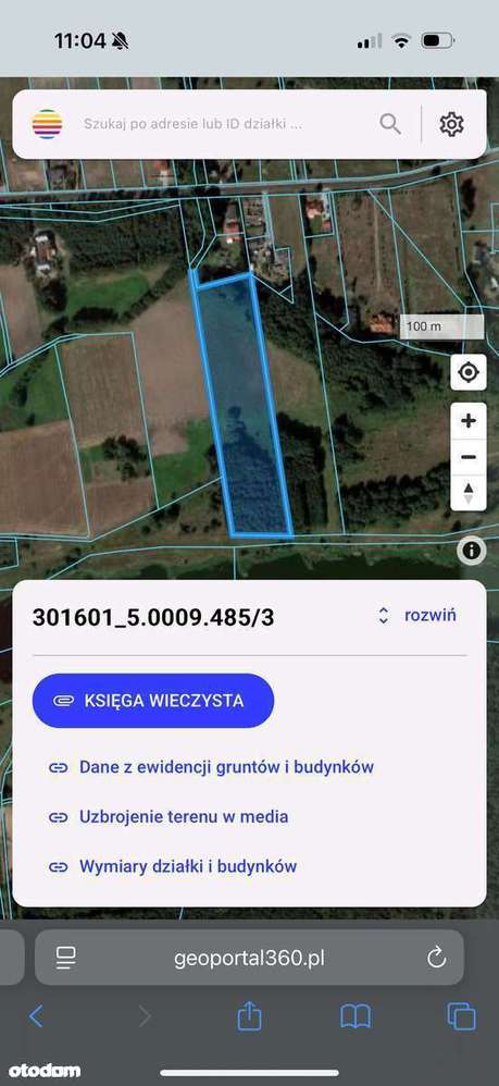 Sprzedam piękne działki od asfaltu do brzegu warty działka rolna - Pełny obrazek: 4/14