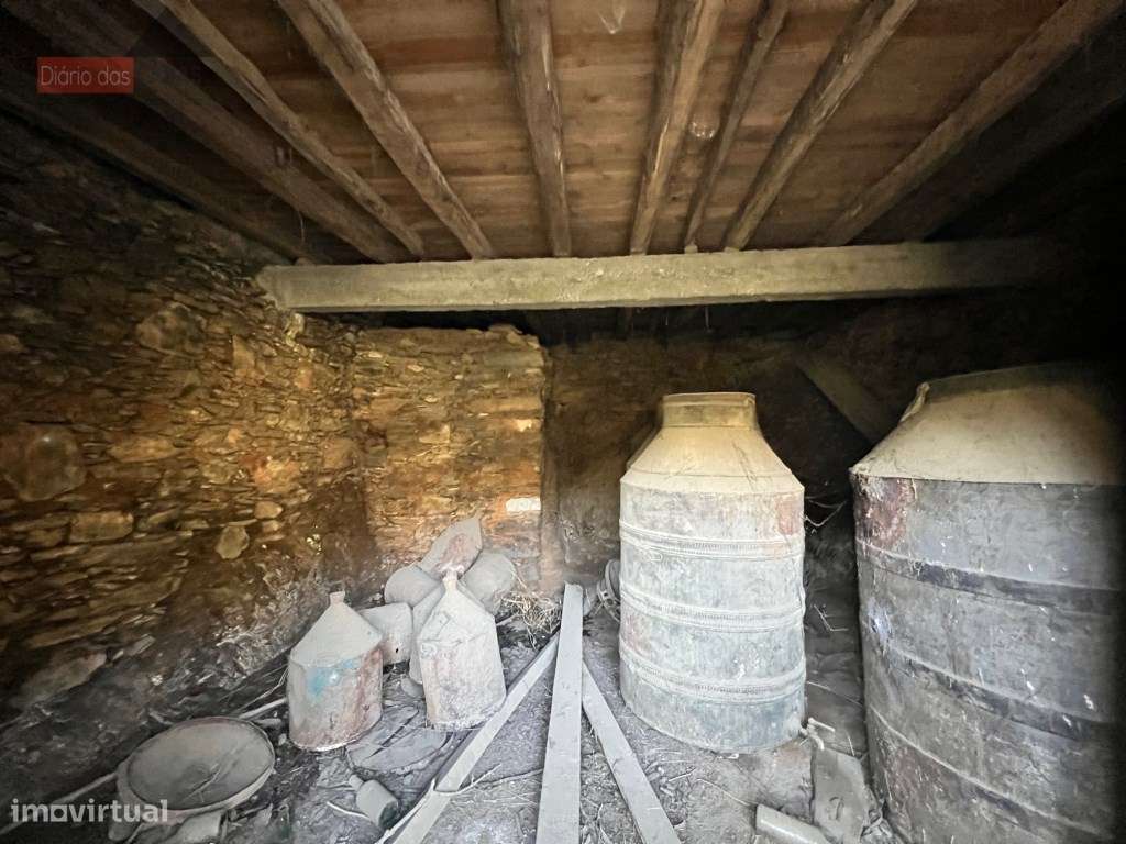 Lagar em Coimbra - Torres do Mondego (Coimbra) Portugal-32