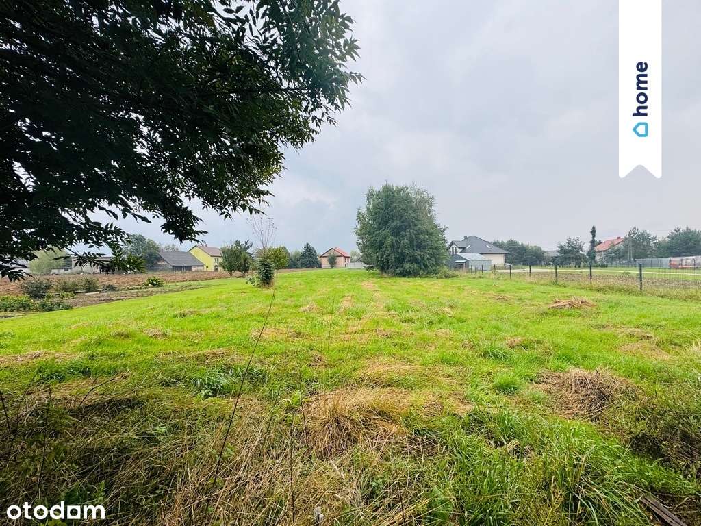 24ary Strzelce Małe!!! - Pełny obrazek: 4/8