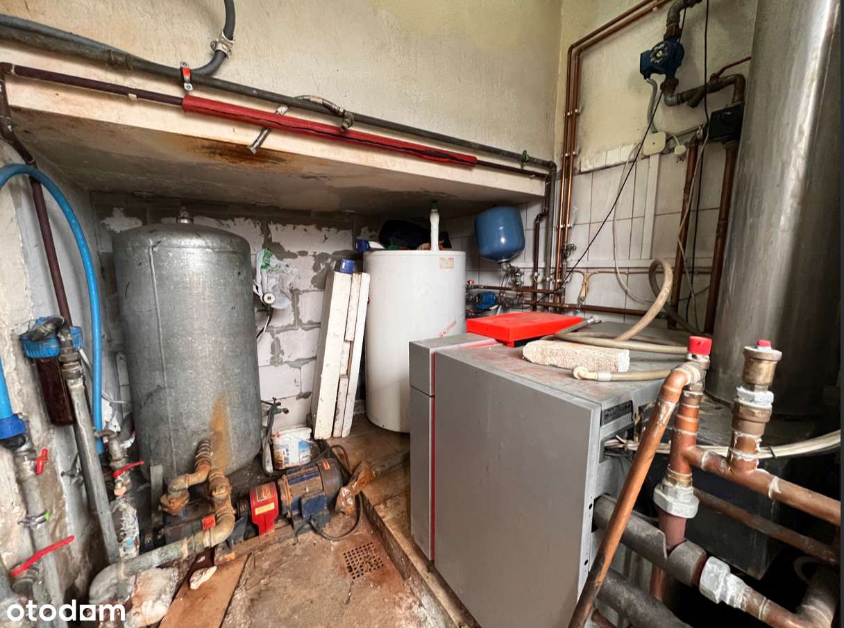 Działka inwestycyjna w Rzepinie-11