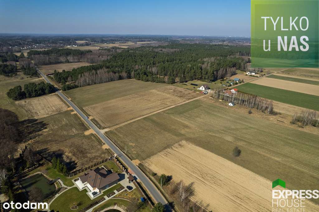 Atrakcyjna działka siedliskowa 4504m2-Kudrycze - Pełny obrazek: 4/4