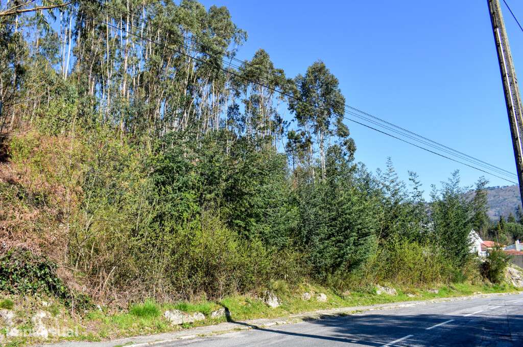 Lote Construção - Vieira do Minho - Grande imagem: 2/10