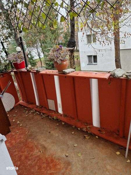 Apartament Dambu Pietros - Imagine principală: 5/5