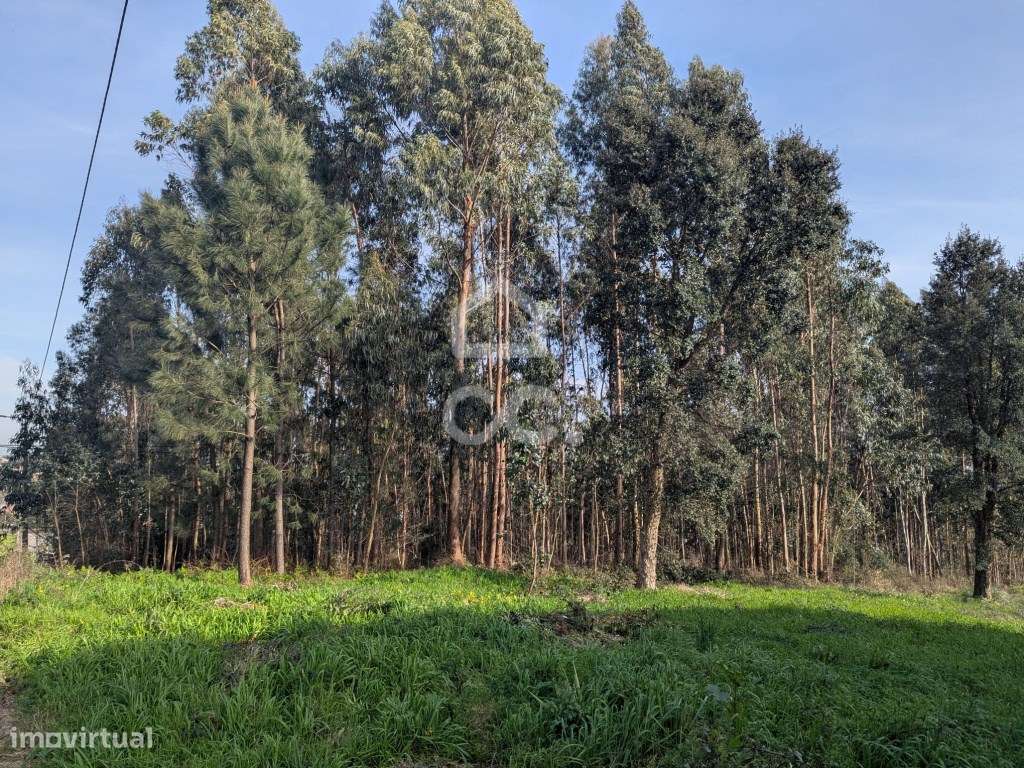 TERRENO RÚSTICO COM CAPACIDADE CONSTRUTIVA | 10.290 m² | LOUSADO Vi...-9