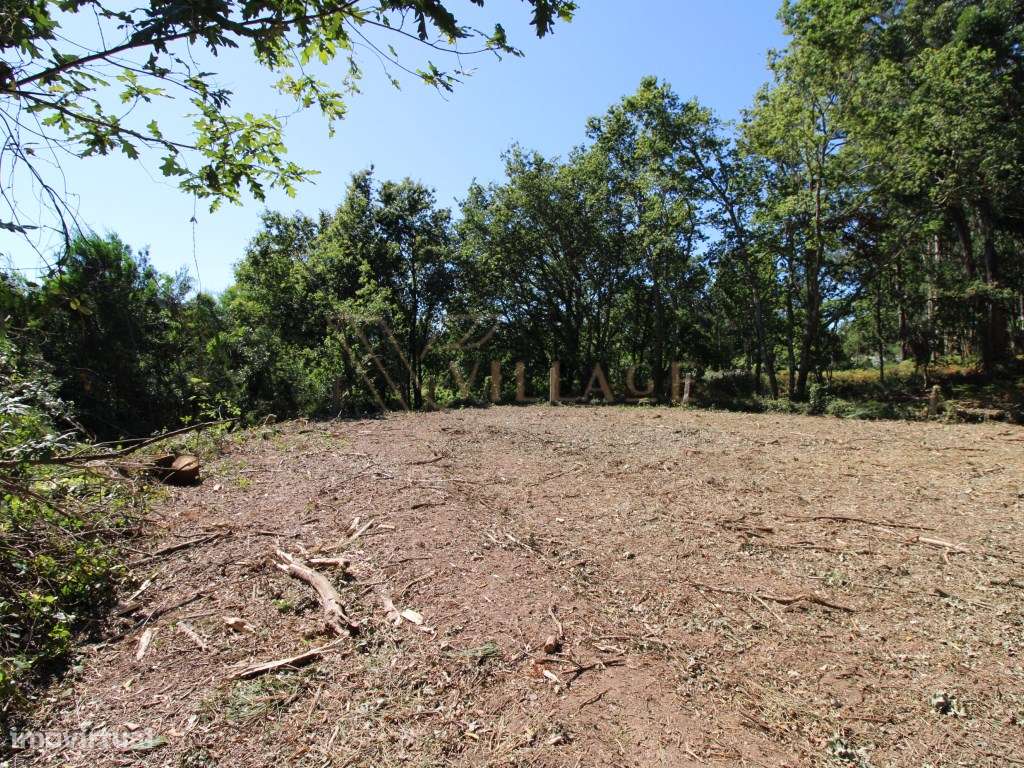 Terreno para construção - Grande imagem: 5/14