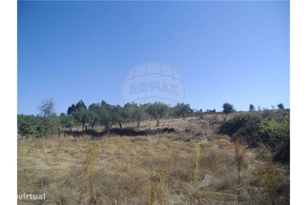 Quinta T0 para venda - Grande imagem: 4/14