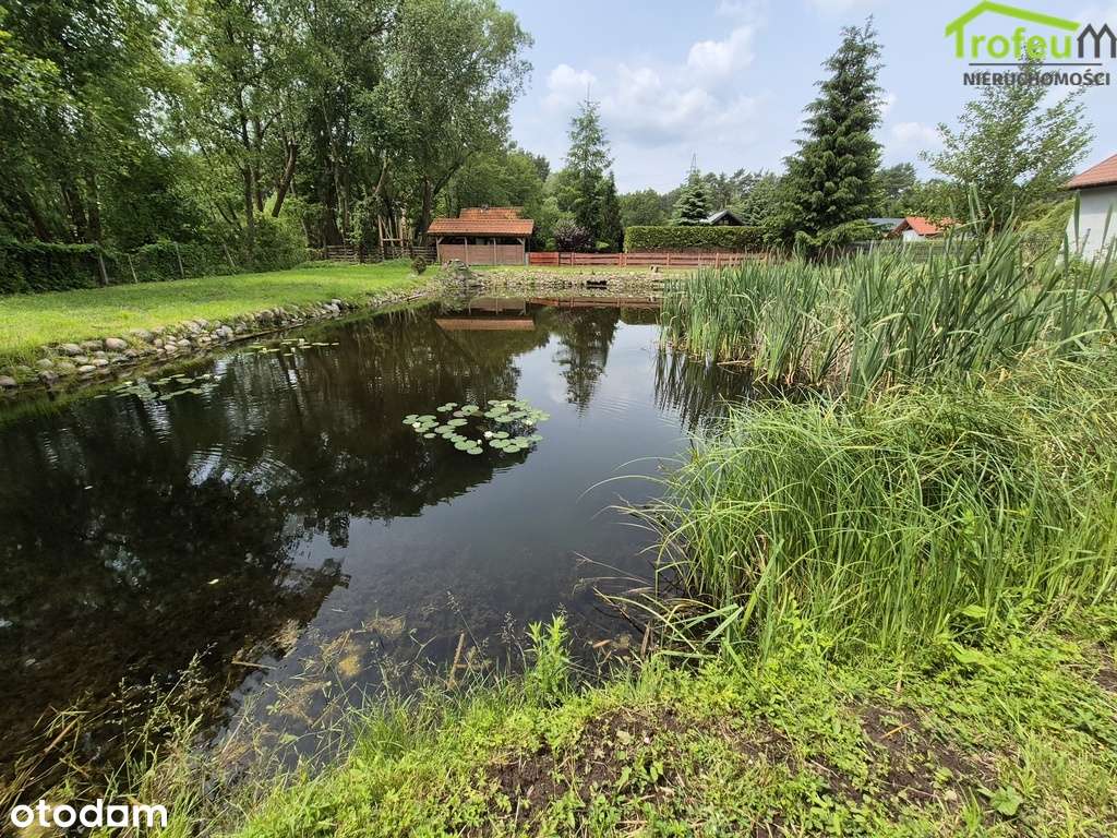 Działka ROD Dr. Jalkowskiego, Mniszek-3