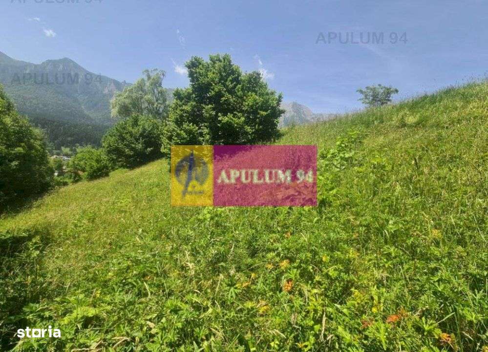 Teren de vânzare în Bușteni - Zona Zamora - Imagine principală: 5/20