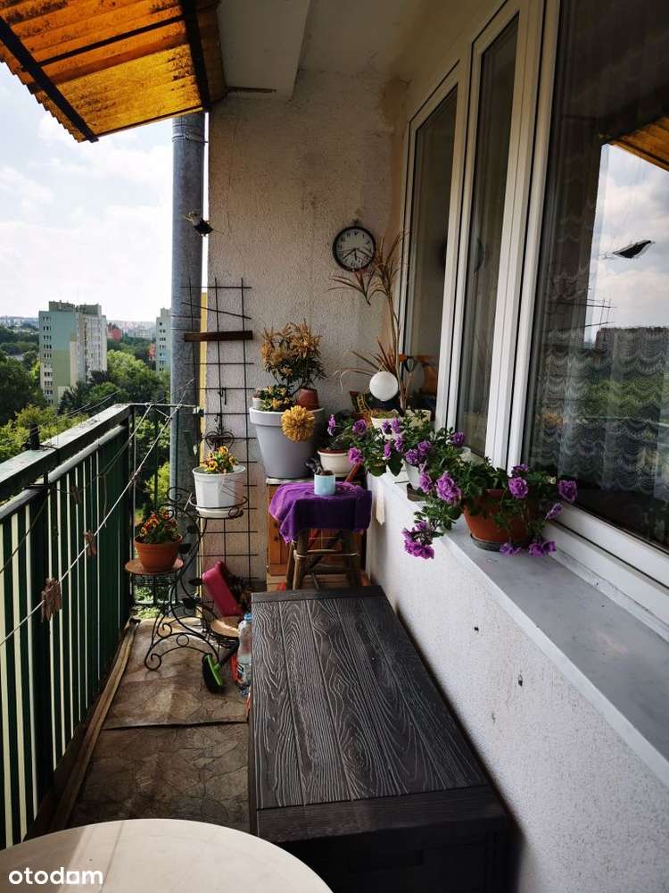 Przepiękne duże mieszkanie z ładnym widokiem-6