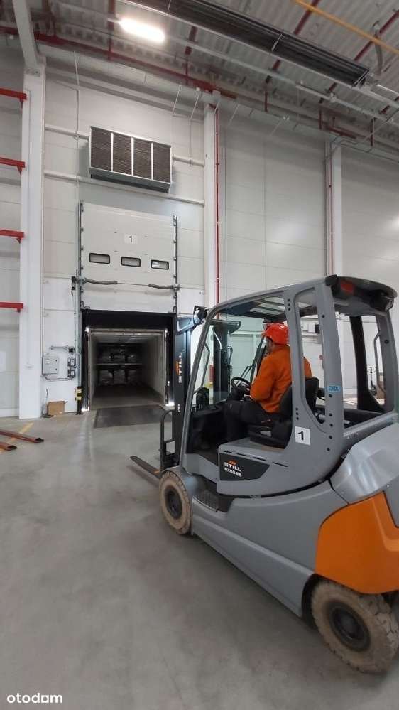 Magazyn pod Lublinem 500- 4000 m2 - Pełny obrazek: 4/6