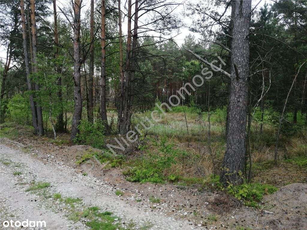 Nieruchomość nad rzeczką z dala od sąsiadów - Pełny obrazek: 4/13