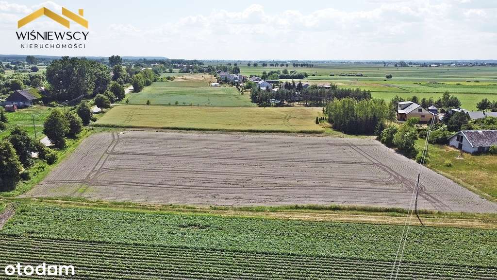 Na sprzedaż działka siedliskowa - Pełny obrazek: 5/6