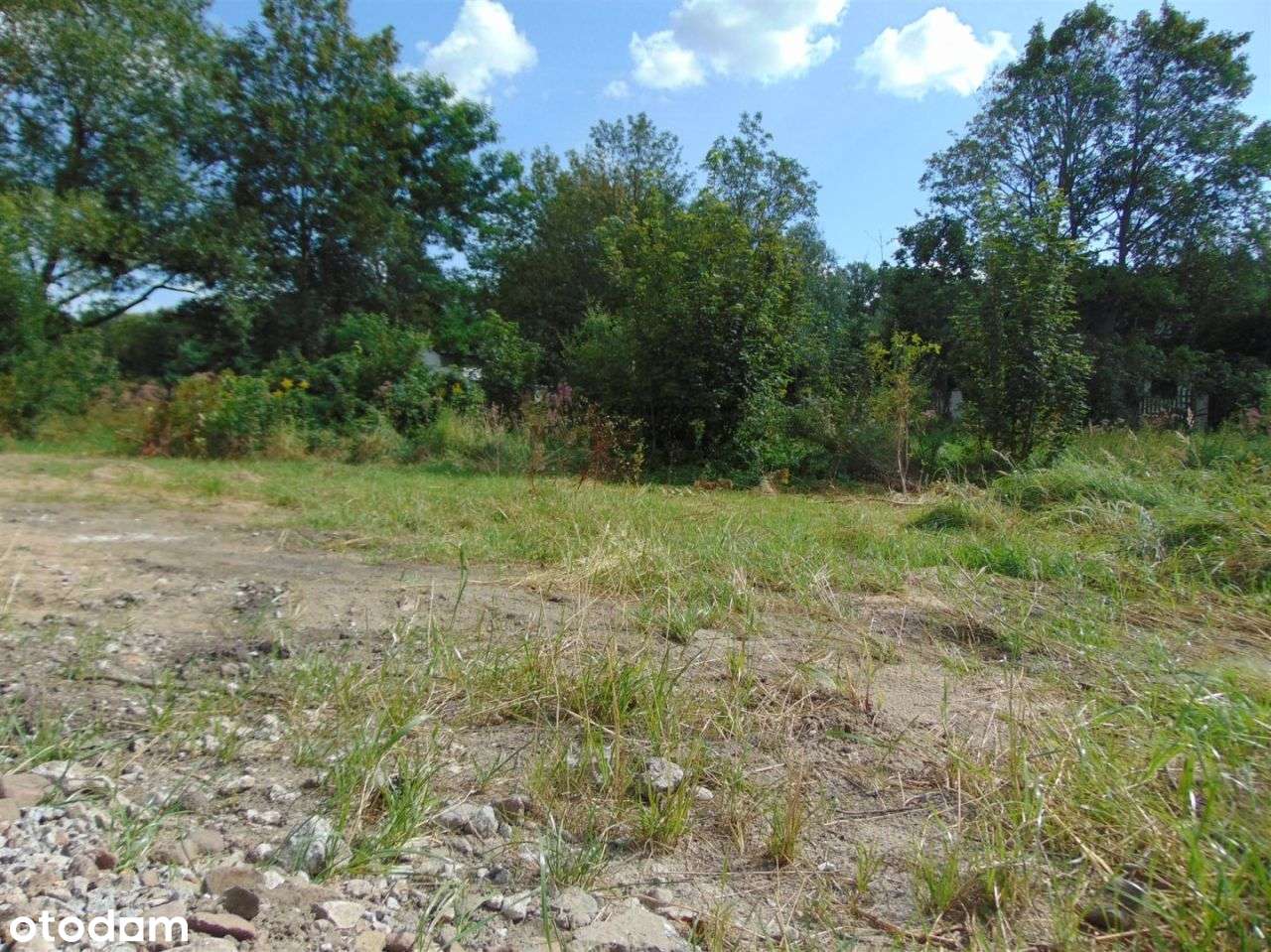 Działka budowlana Papowo Osieki ul Leśna - Pełny obrazek: 4/7