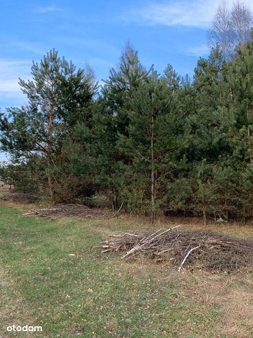 Atrakcyjne działki budowlane 20 minut od Wilanowa