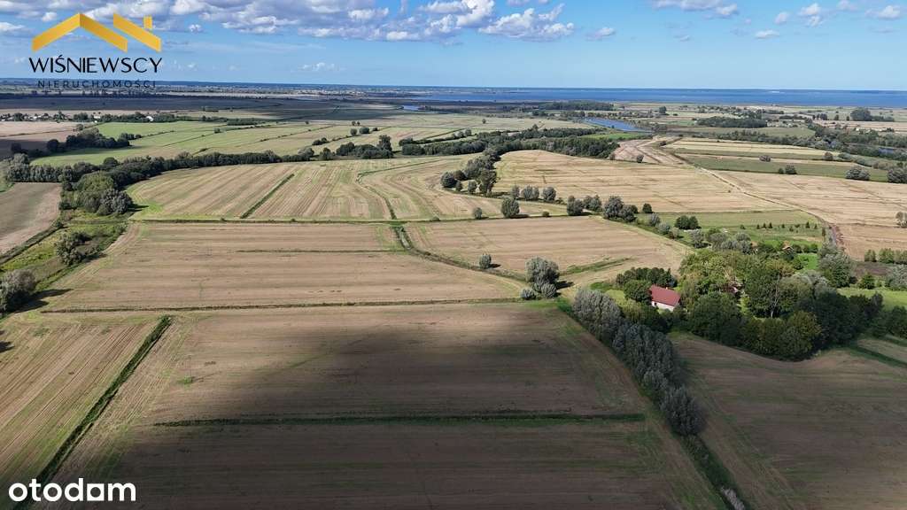 Grunty rolne 43,53 ha – okolice Zalewu Wiślanego - Pełny obrazek: 3/5