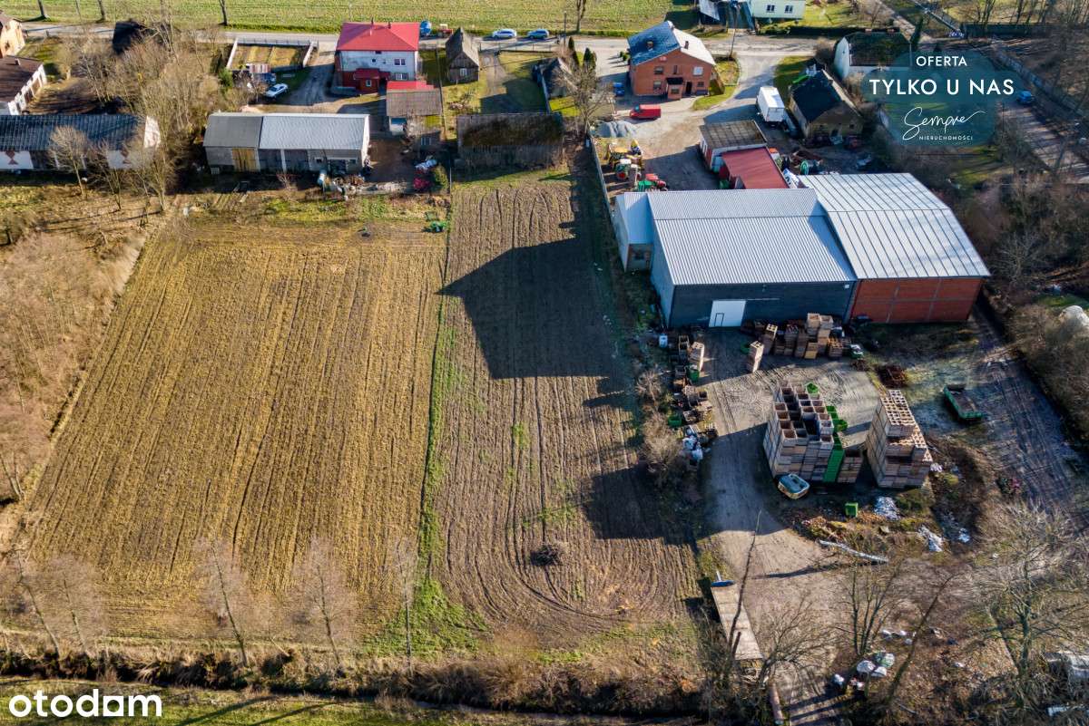 Działka pod zabudowę, siedlisko - Pełny obrazek: 5/12