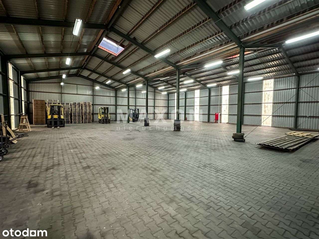 Hala magazynowa / Woc / Doki / pow. 4000 Mj - Pełny obrazek: 4/6