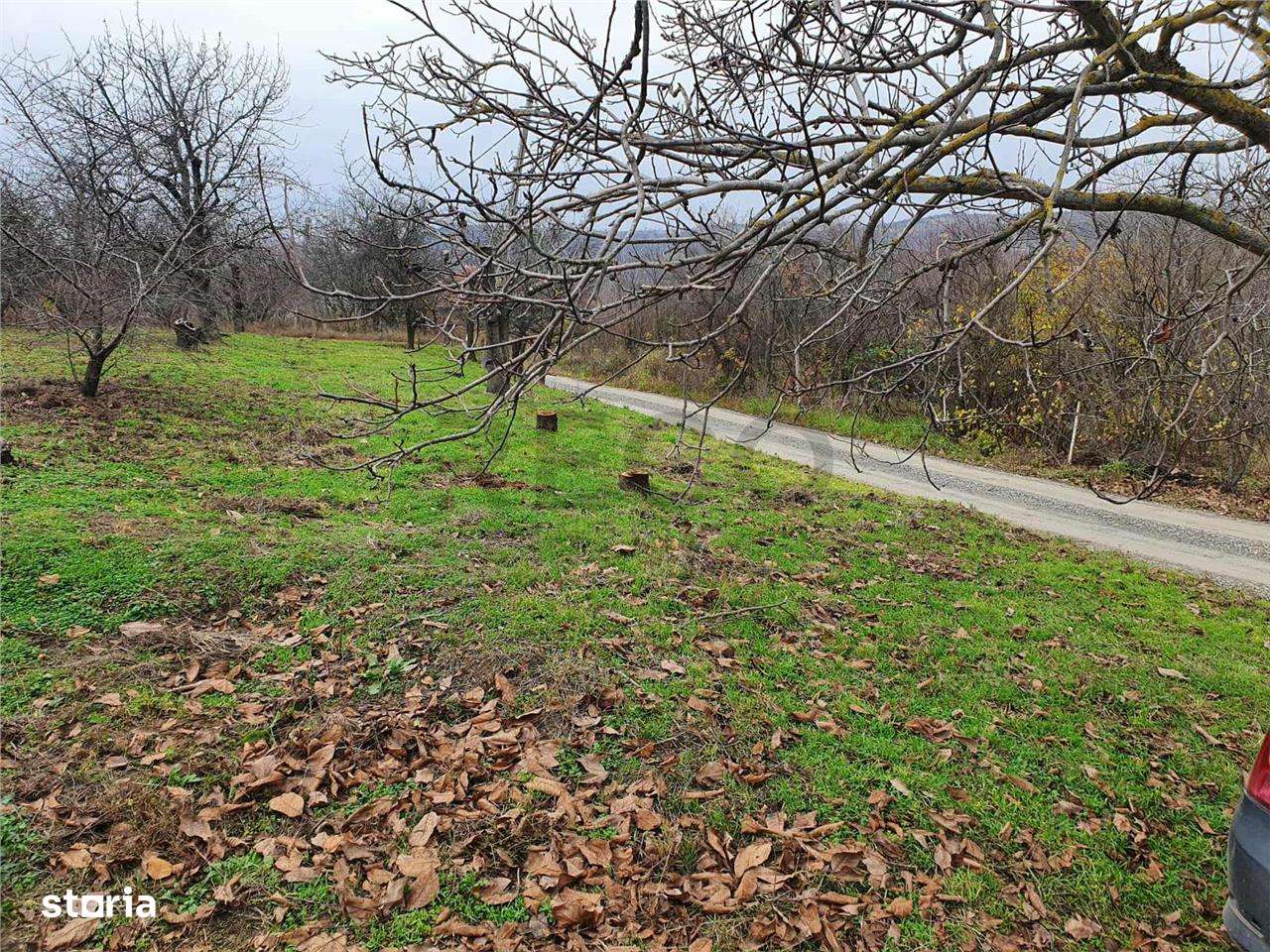 RECO Teren  in Oradea - Imagine principală: 4/10