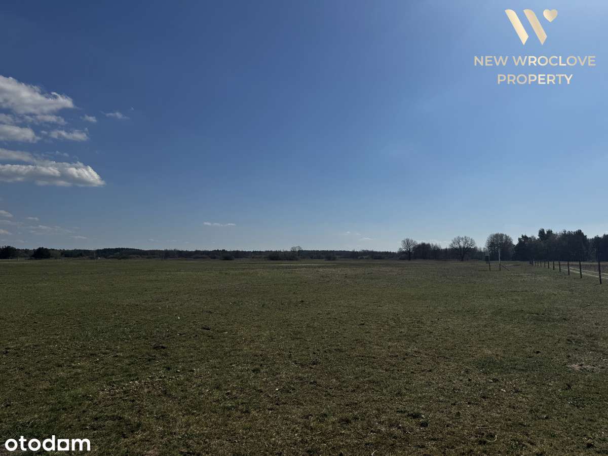 Działka rolna, w pobliżu zabudowań - Pełny obrazek: 5/5