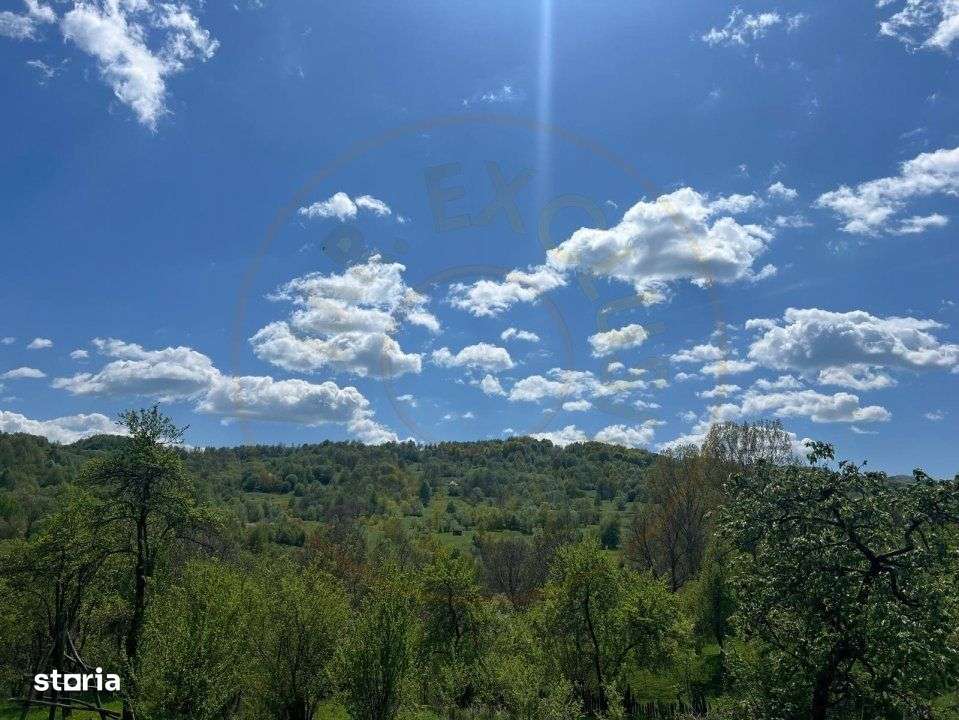 Teren 1200 mp + Casa - Comuna Arefu - Imagine principală: 1/5