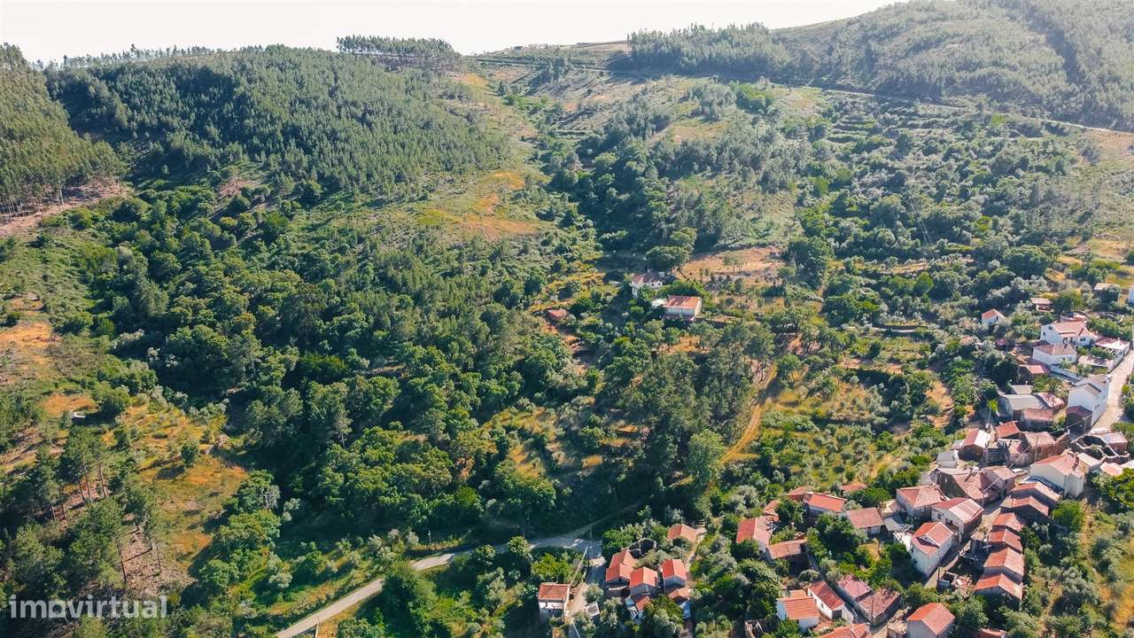 Terreno Rústico  Venda em Almaceda,Castelo Branco-7