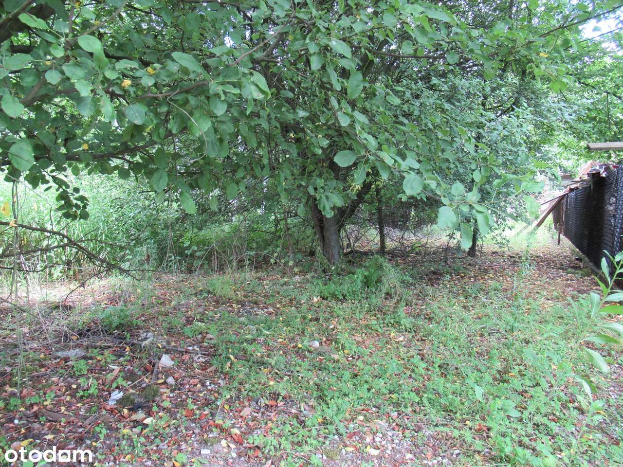 Sprzedam udział w: dom i działka-8