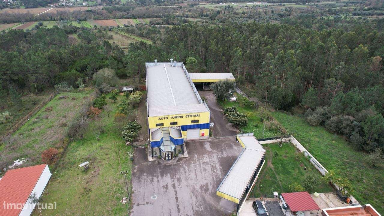 Armazém  Venda em Pombal,Pombal - Grande imagem: 4/43