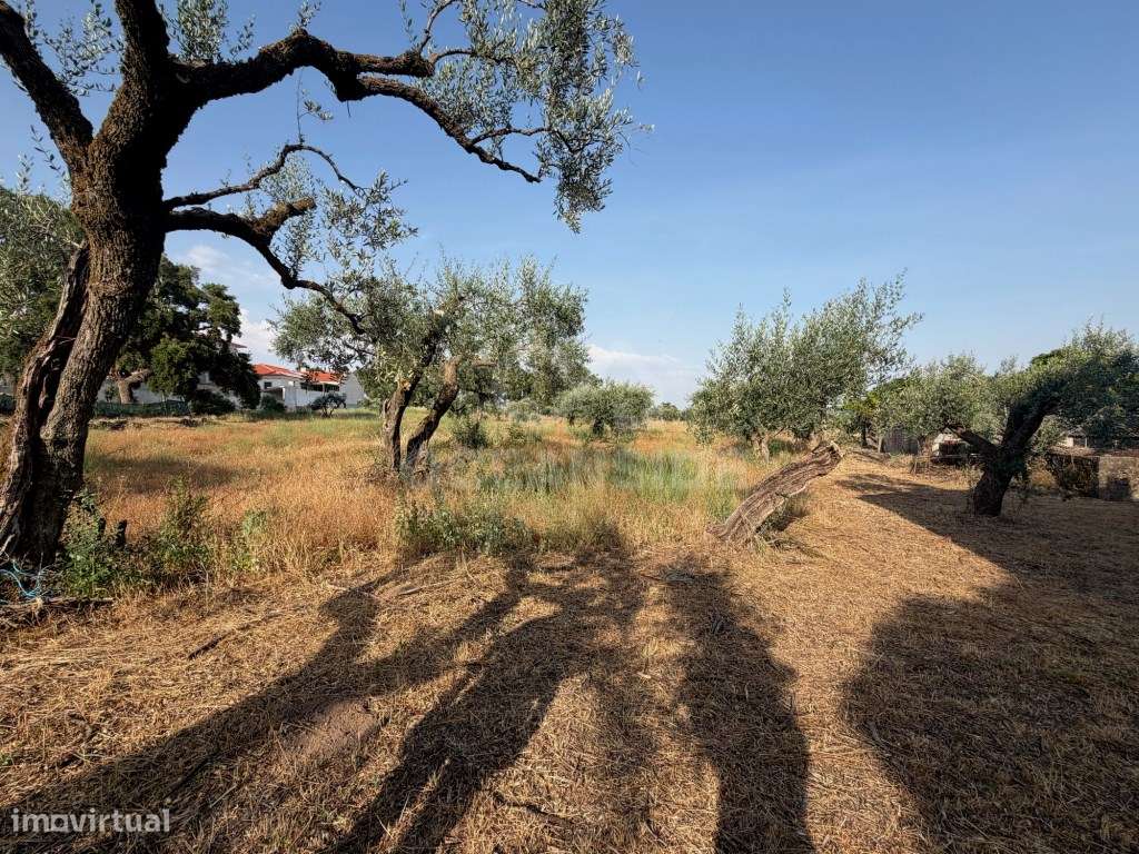 Moradia independente com 500 m2 de construção e terreno com 10.000 m2-13