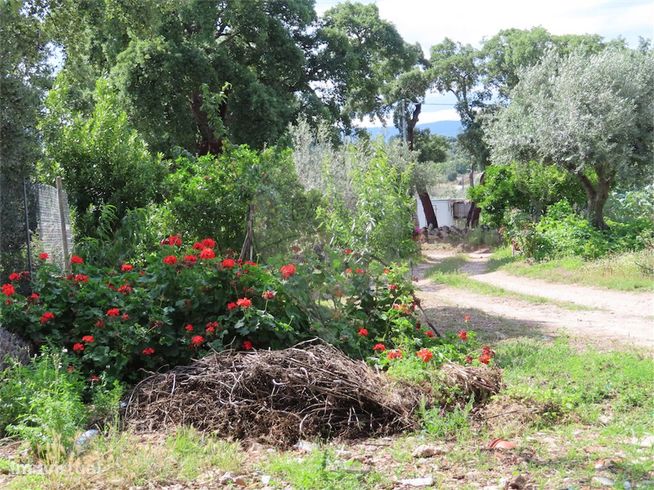Quinta  para venda-20