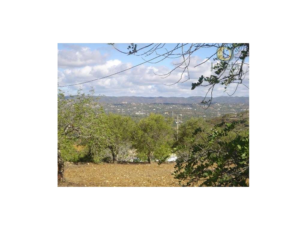 Terreno com bons acessos - Grande imagem: 2/4