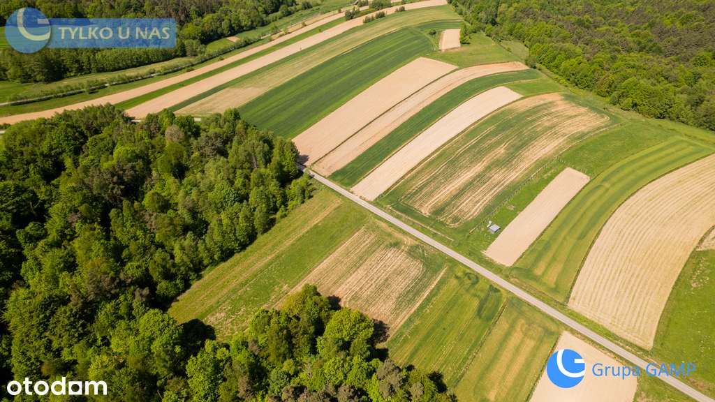 1,04ha w ciszy Wiśnicko-Lipnickiego P.Kraj - Pełny obrazek: 4/12