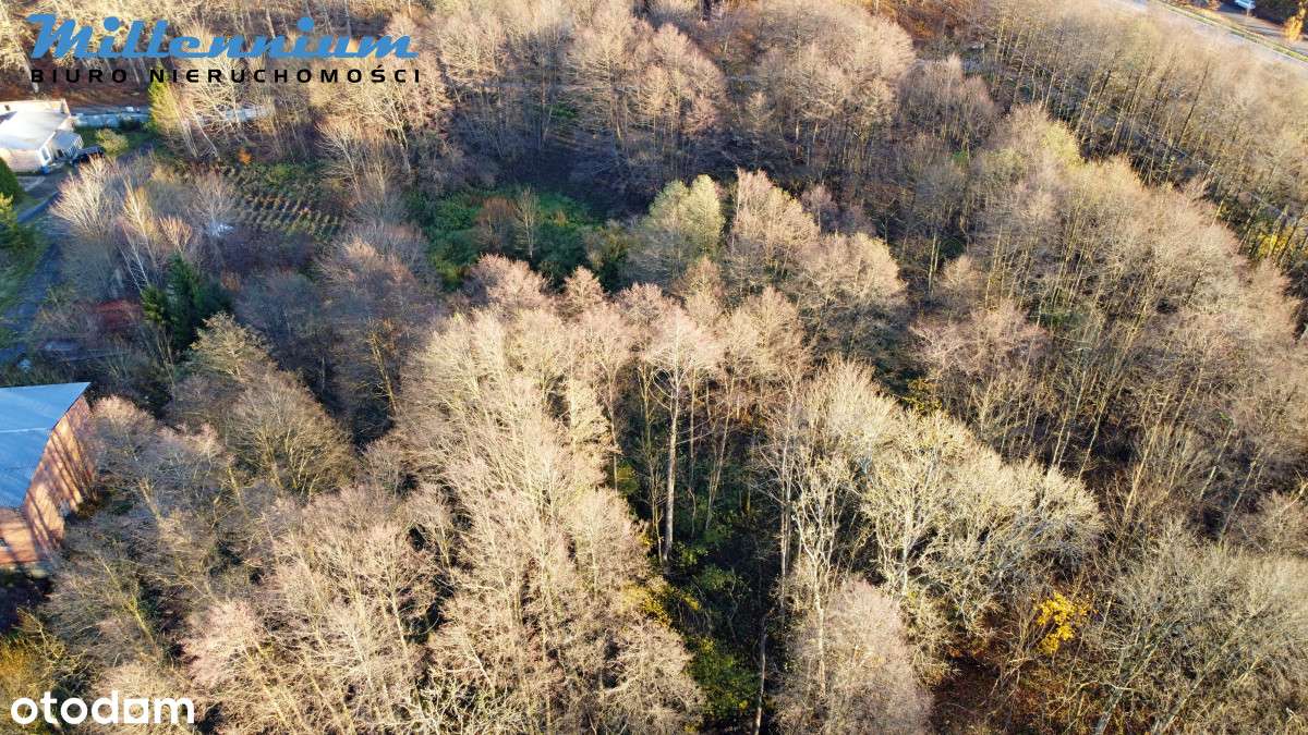 A może chcesz prowadzić spływy kajakowe?-4