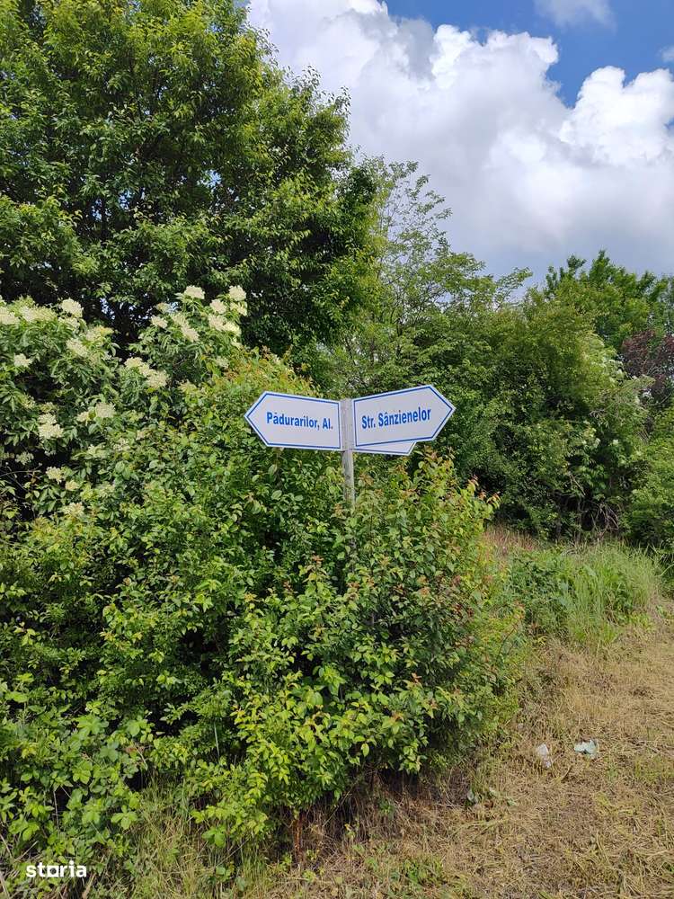 Teren de vanzare aproape de Muzeul Satului Banatean - Giarmata Vii-3