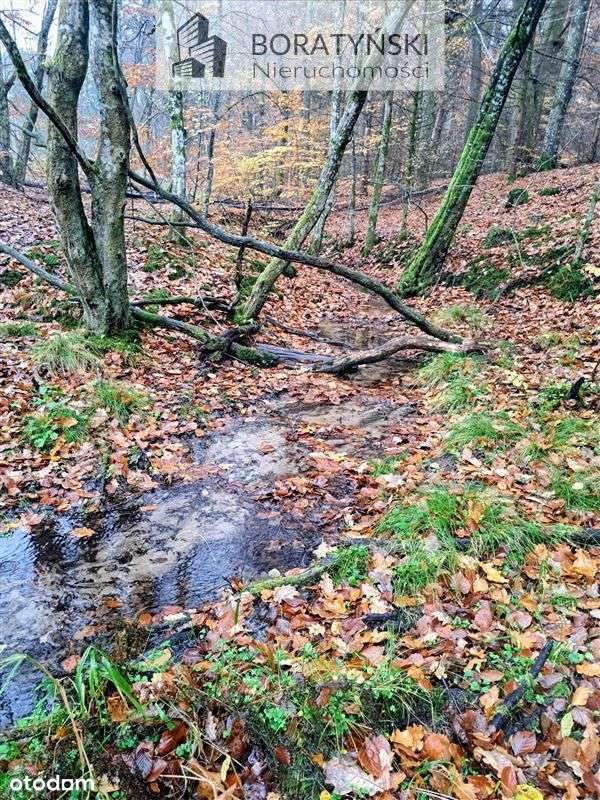 Działka z linią brzegową rzeki Grabowa-11