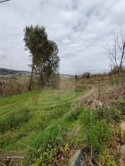 Quintinha com 2 hectares - Grande imagem: 4/47
