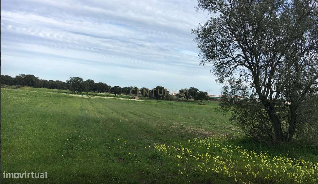 Quinta à venda no Pinhal Novo – Terrim, Palmela - Grande imagem: 5/5