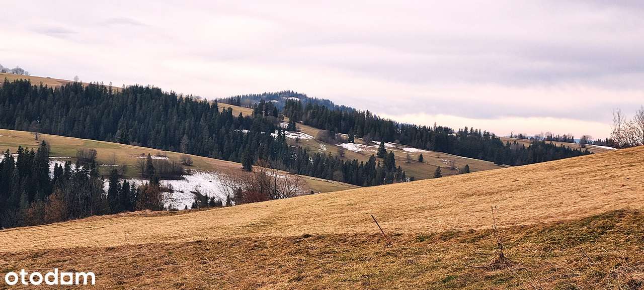 Widok na TATRY - Pełny obrazek: 5/5