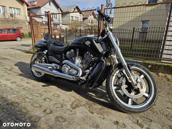 Harley-Davidson V-Rod Muscle - 1