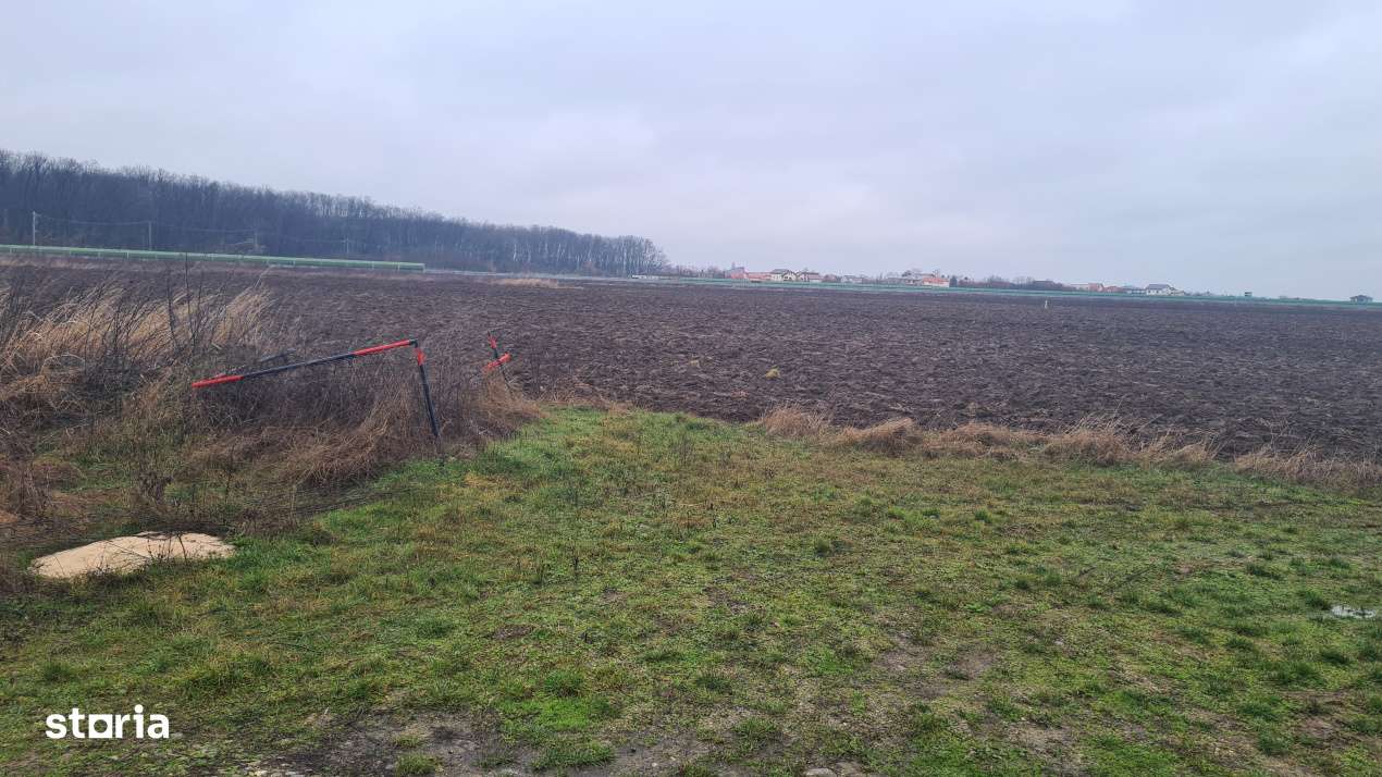 Teren premium rezidential sau industrial 26.651mp Corbeanca – acces-12