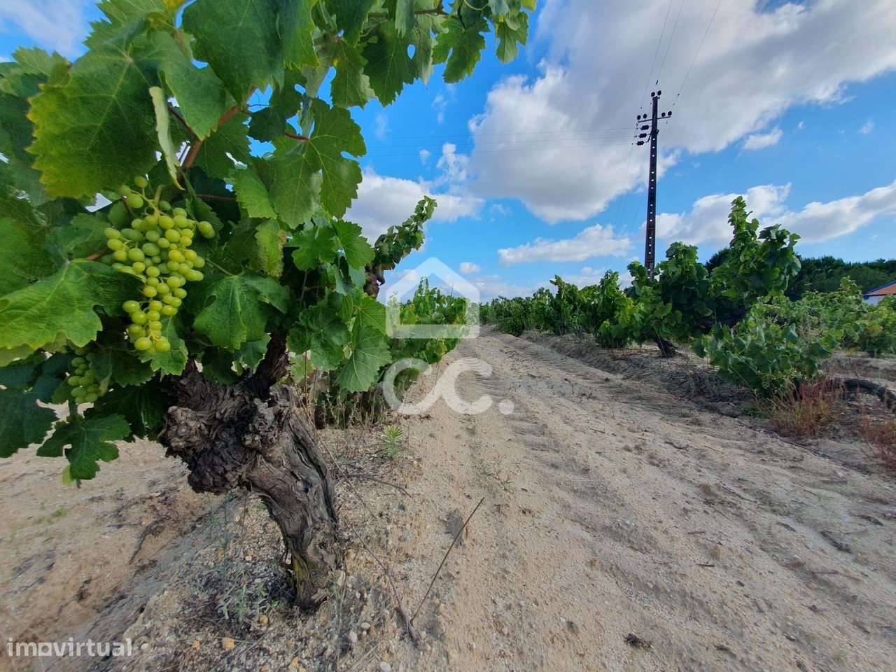 Terreno com 38.830 m² em localização privilegiada em Coruche - Grande imagem: 5/14