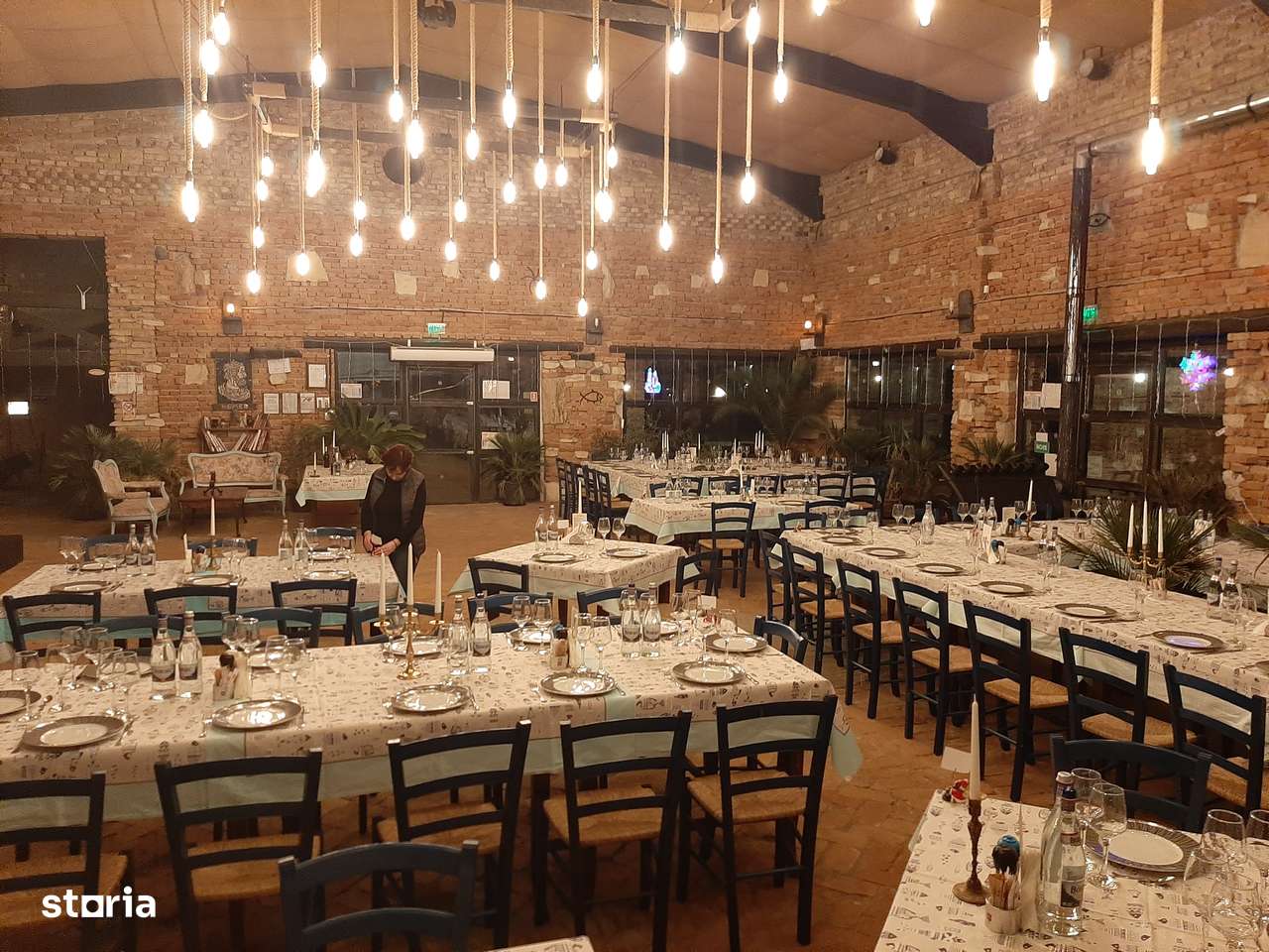 Spatiu comercial-Restaurant plaja salbatica Vadu-12