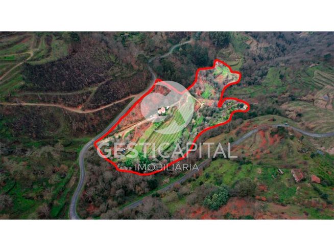 Oportunidade Única: Quinta para Habitação, Turismo ou Agricultura em M-41