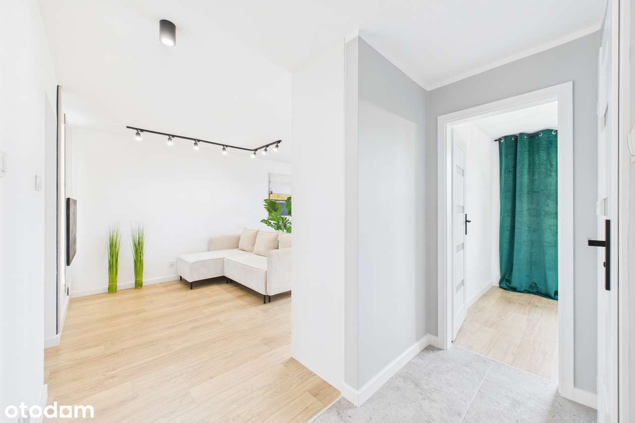 Zobacz, Jak Wygląda Cisza i Zieleń w Samym Centrum Miasta TERAZ!-6