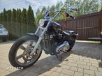 Harley-Davidson Softail - 15