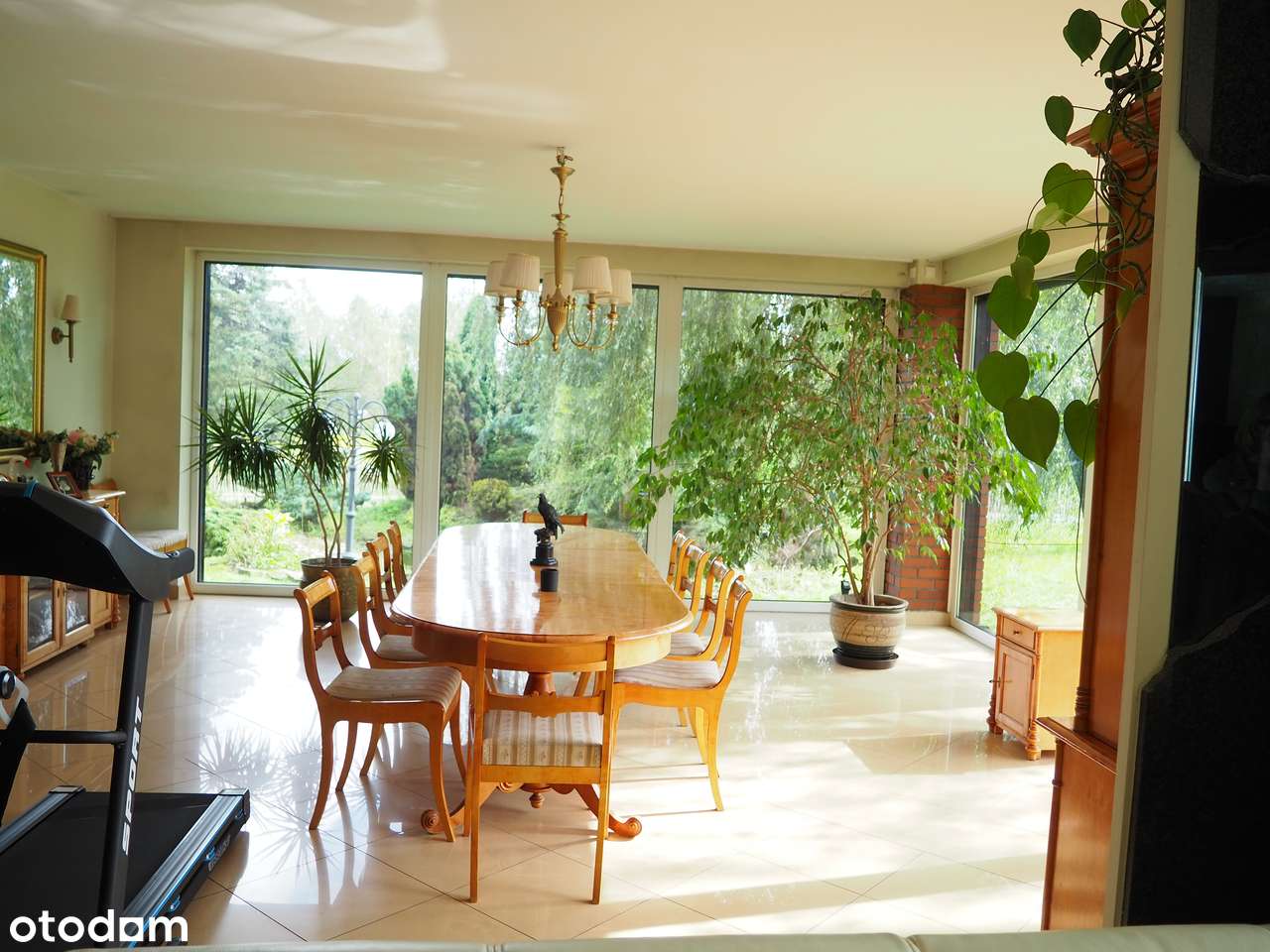 Willa z własnym lasem i krytym bsenem - Pełny obrazek: 5/15