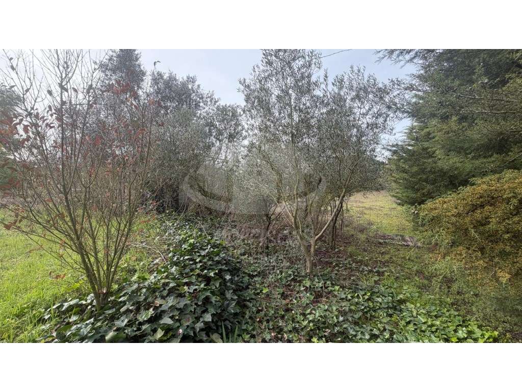 Terreno de 9.300 m² com construção, na Lau, Palmela - Grande imagem: 4/29