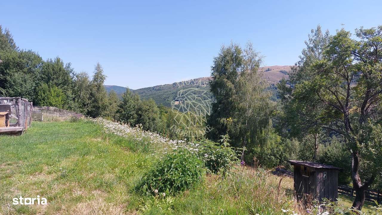 Teren extravilan investiție Rachitele Cluj - 31.555 mp-5