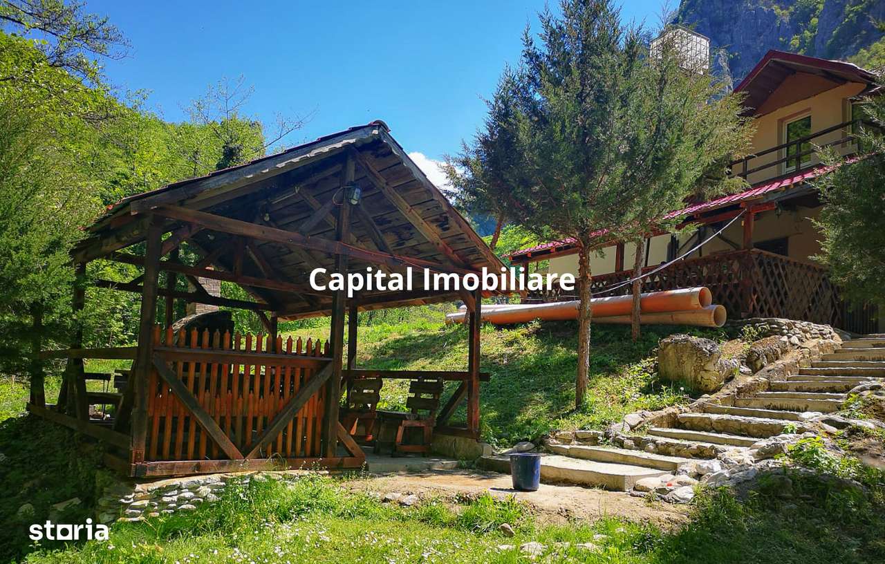 Casa de vacanta perfecta pe malul Cernei - Imagine principală: 5/13