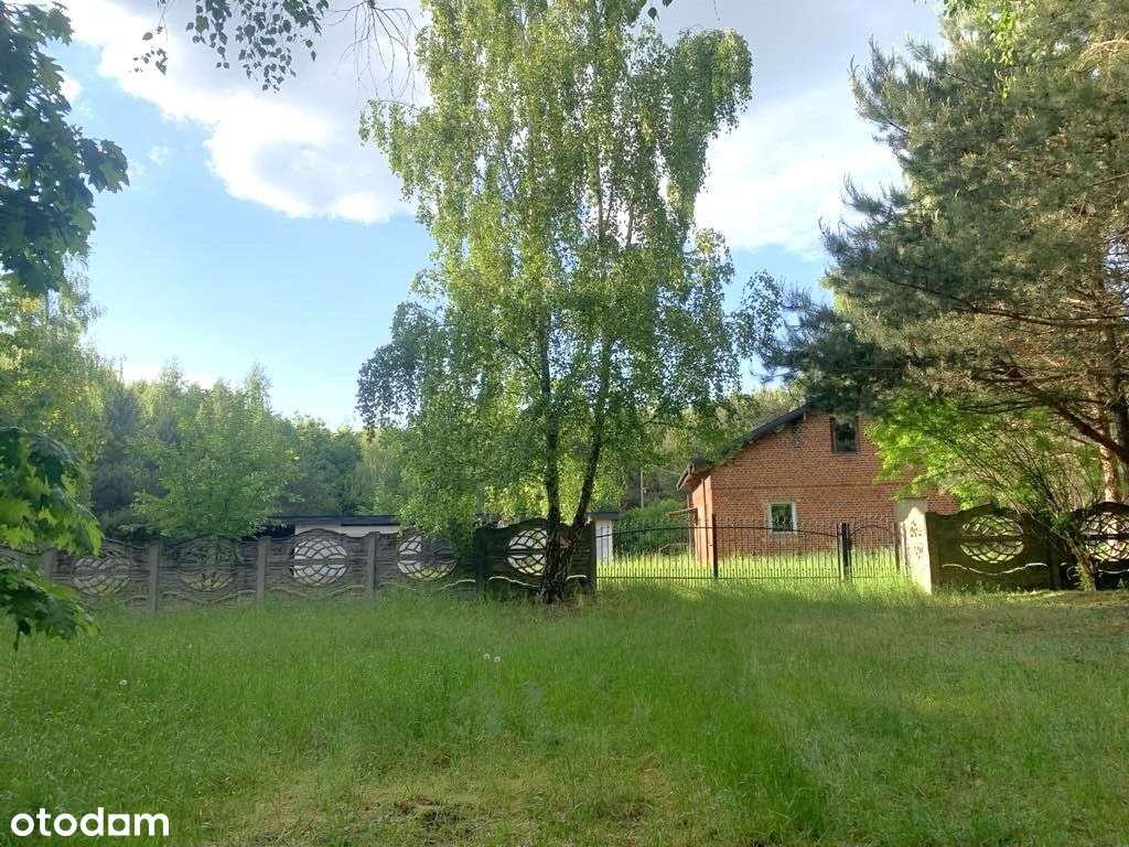 dom w środku lasu gm. Izbica Kujawska woj Kujawsko-3