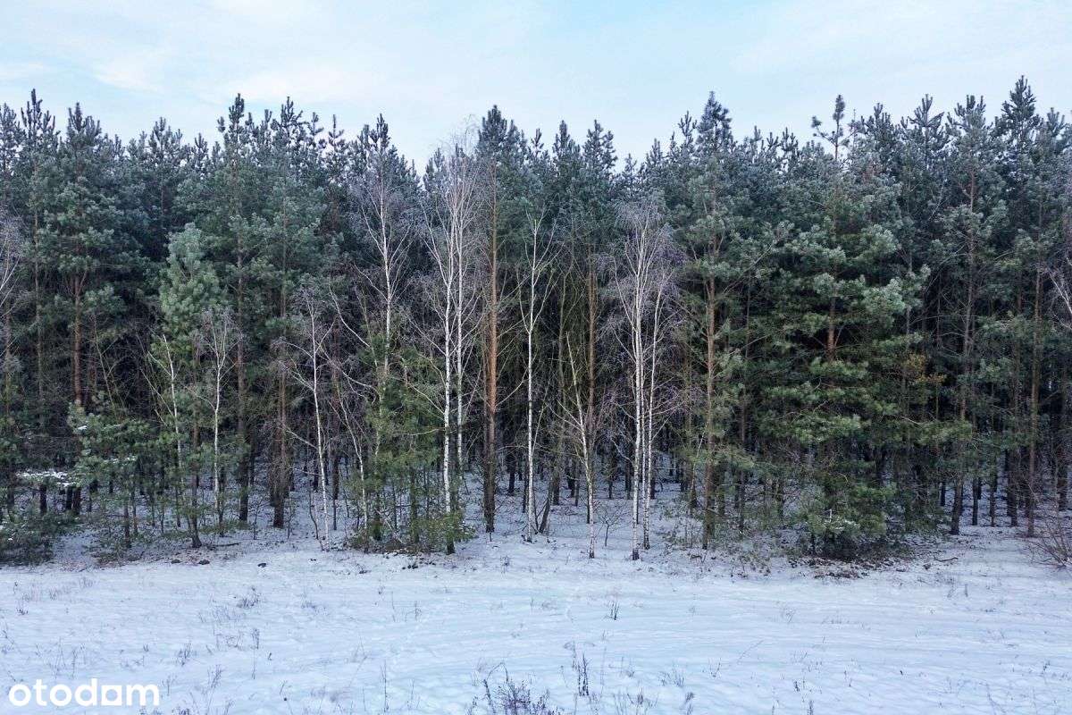 Działka mieszkaniowa 12,4 ar – Przytuły Stare-3